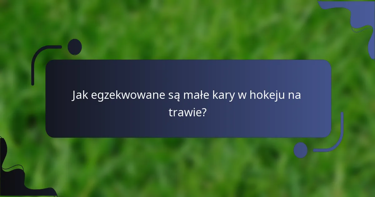 Jak egzekwowane są małe kary w hokeju na trawie?